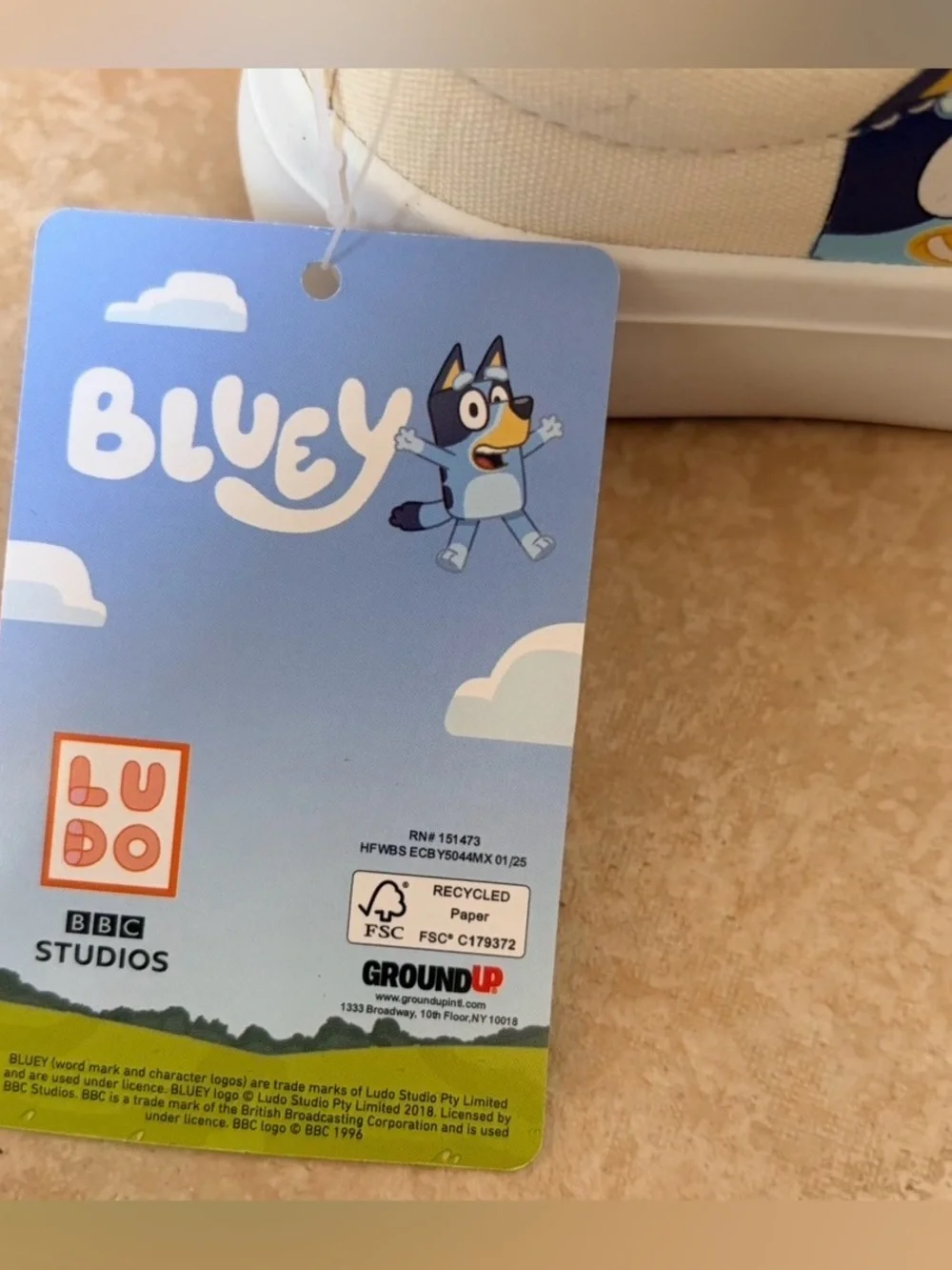 Bluey Toddler Canvas Sneakers Cream Blue Hook & Loop Unisex Kids Shoes NWT 6